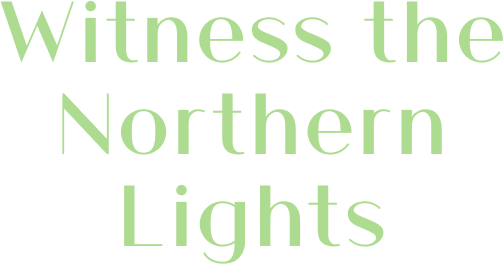 Witness the Northern Lights